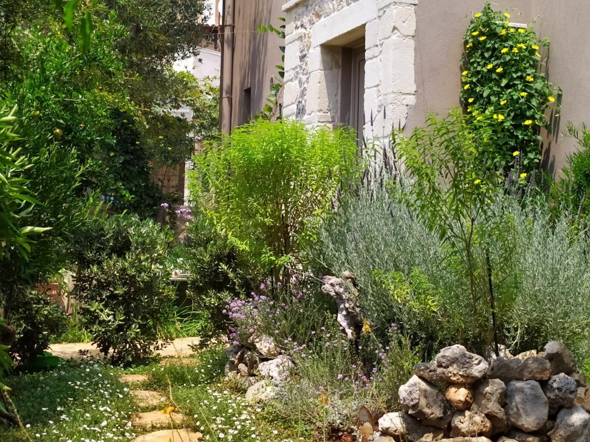 Mediterranean Olive Lemon-Alternative Pool&Garden Vamos Exterior foto