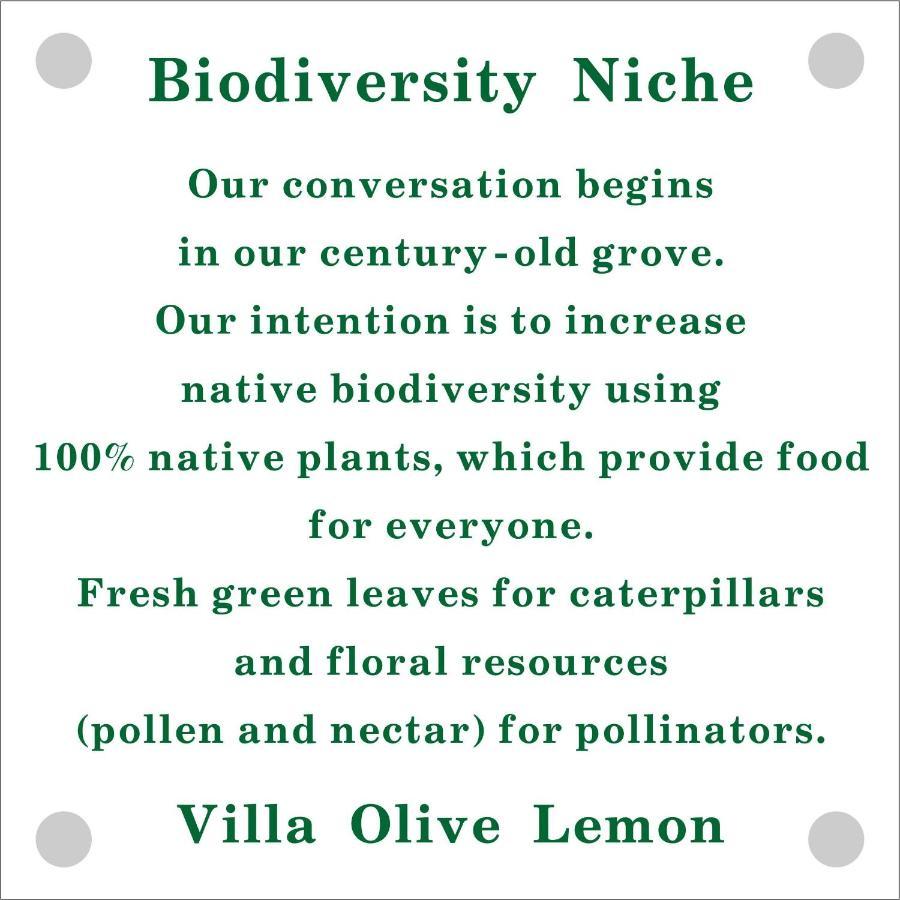 Mediterranean Olive Lemon-Alternative Pool&Garden Vamos Exterior foto