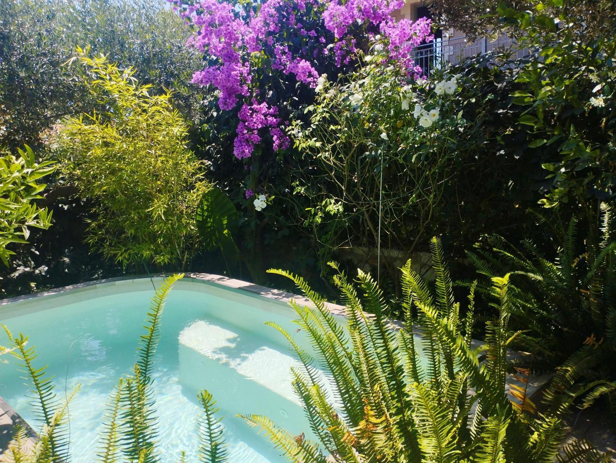 Mediterranean Olive Lemon-Alternative Pool&Garden Vamos Exterior foto