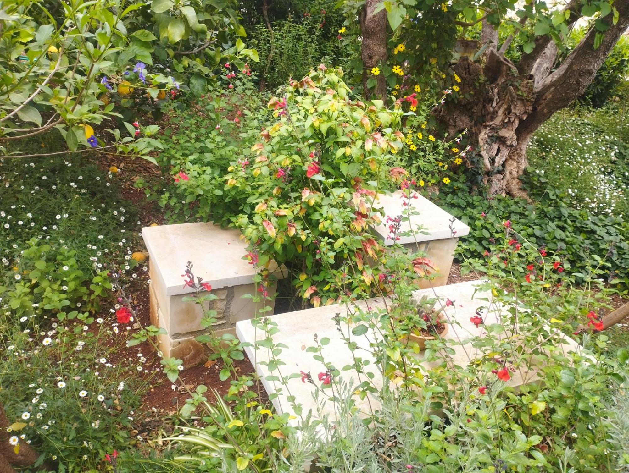 Mediterranean Olive Lemon-Alternative Pool&Garden Vamos Exterior foto
